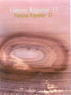 famrep33.BMP (207990 bytes)