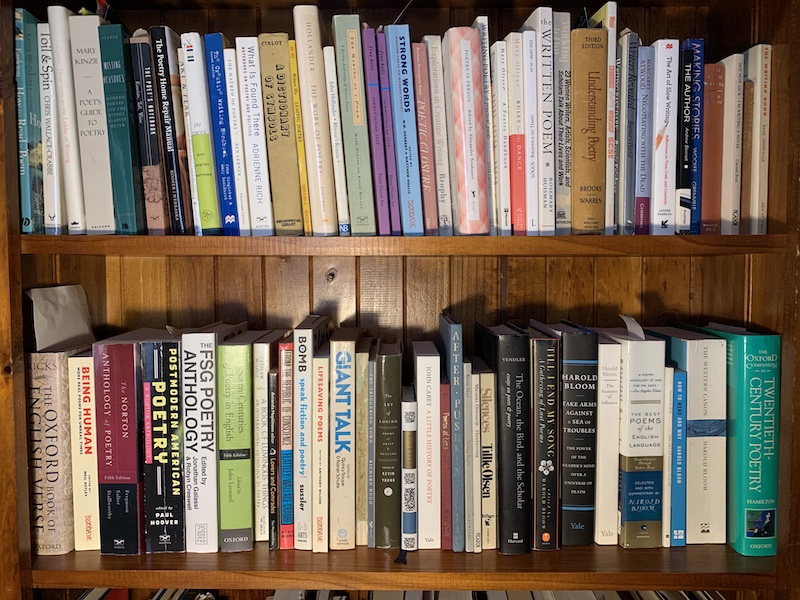 favourite bookshelf - 1