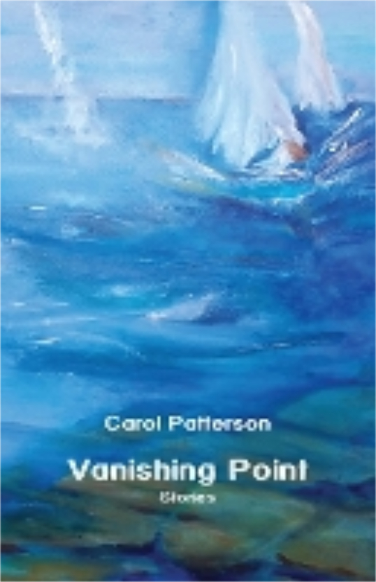 cover 'Vanishing Point'